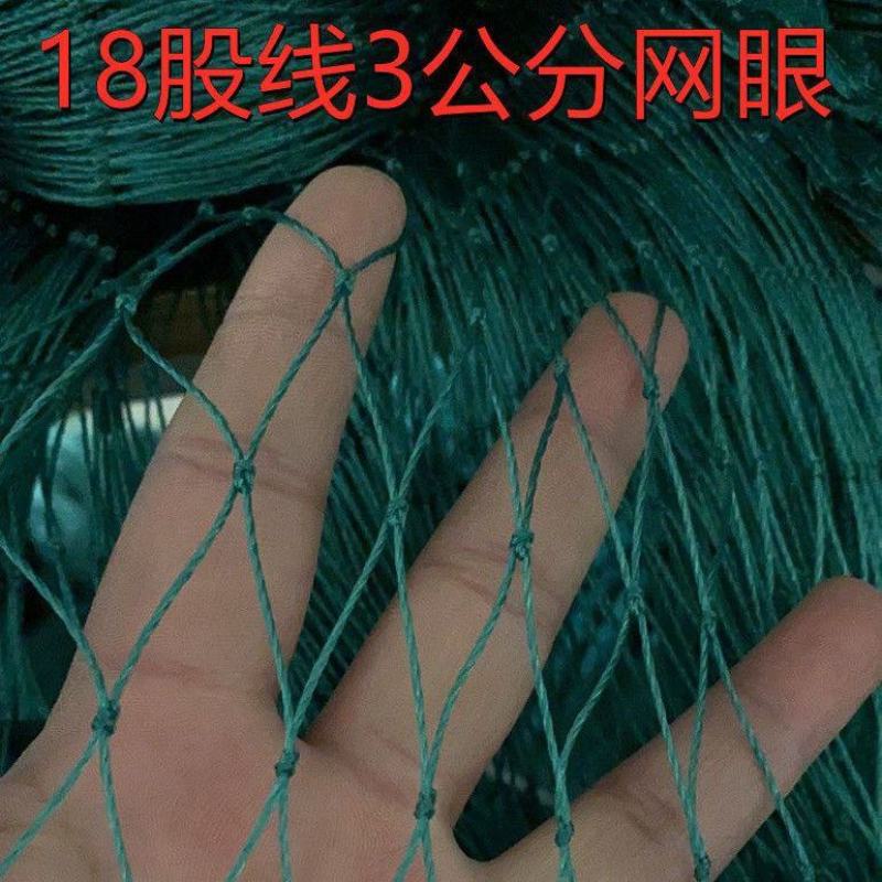 家禽养殖网尼龙网养鸡防飞网防鸟拦鸡搭顶网围栏爬藤网隔离网