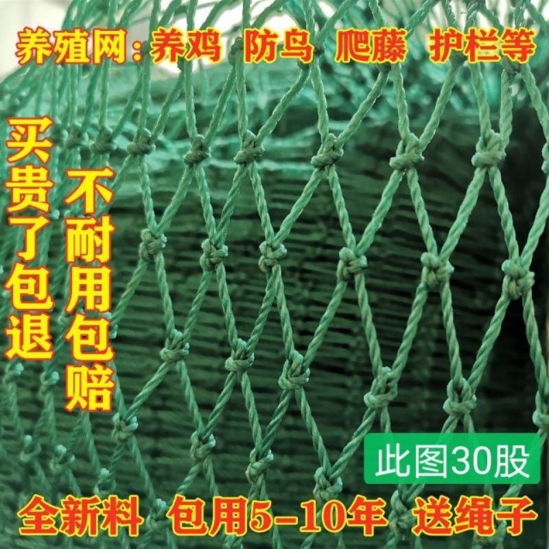 家禽养殖网尼龙网养鸡防飞网防鸟拦鸡搭顶网围栏爬藤网隔离网