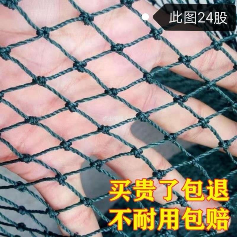 家禽养殖网尼龙网养鸡防飞网防鸟拦鸡搭顶网围栏爬藤网隔离网