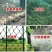 家禽养殖网尼龙网养鸡防飞网防鸟拦鸡搭顶网围栏爬藤网隔离网