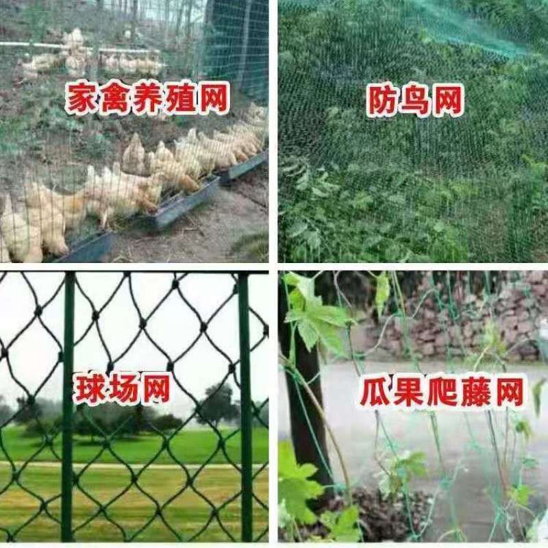 家禽养殖网尼龙网养鸡防飞网防鸟拦鸡搭顶网围栏爬藤网隔离网