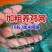 家禽养殖网尼龙网养鸡防飞网防鸟拦鸡搭顶网围栏爬藤网隔离网