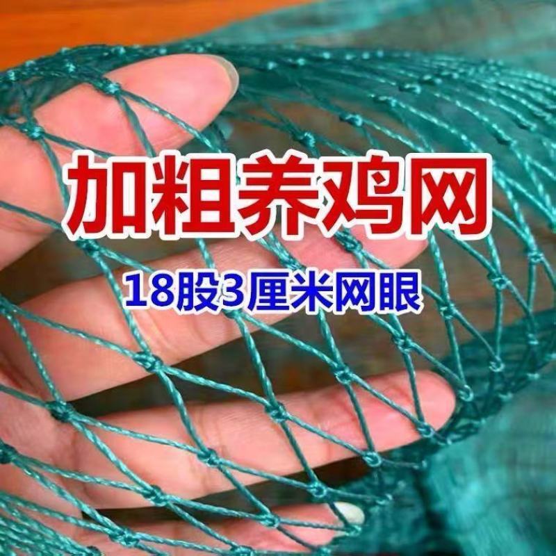 家禽养殖网尼龙网养鸡防飞网防鸟拦鸡搭顶网围栏爬藤网隔离网