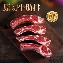 安格斯原切牛排骨新鲜牛肋排带骨带肉牛排牛肉肋排牛肋骨顺丰