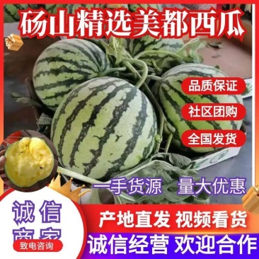 安徽砀山美都西瓜大量上市大棚种植8成熟头茬西瓜