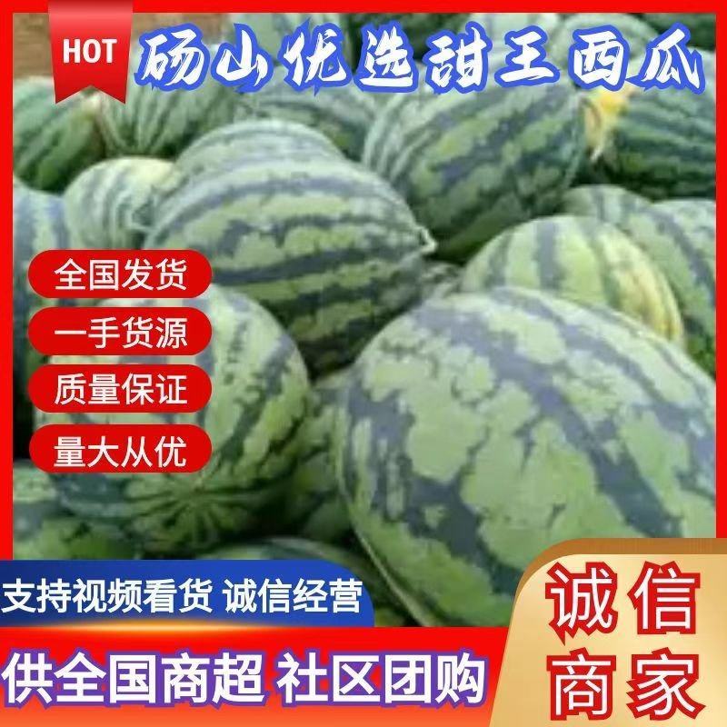 砀山大棚精品甜王西瓜8斤打底一手货源大量长期供货量大从优