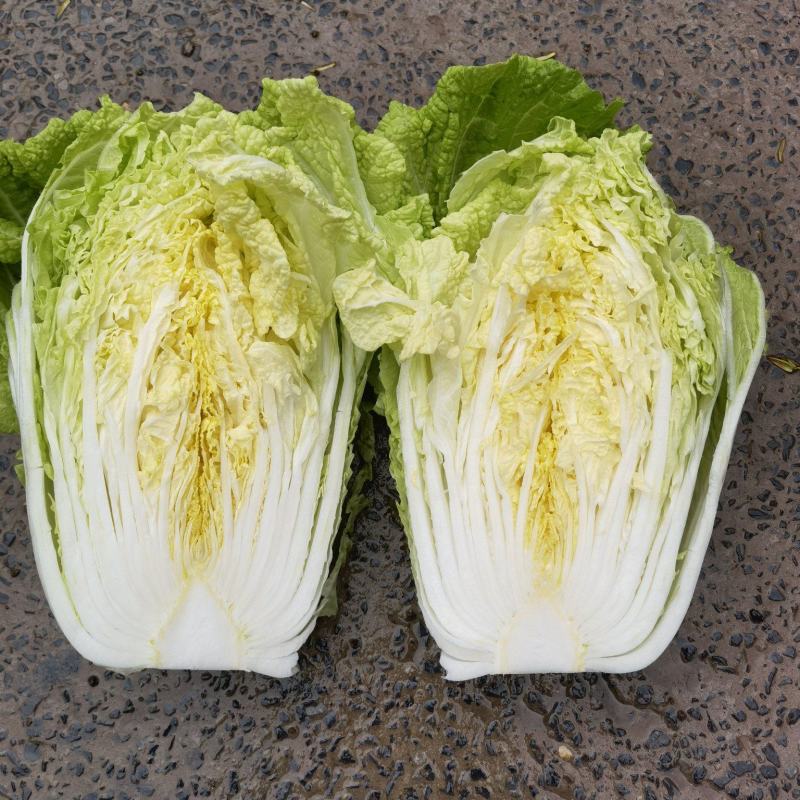 精品黄心大白菜
