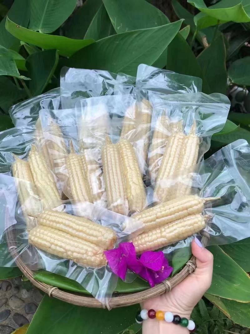 西双版纳精品拇指玉米顺丰快递，空运