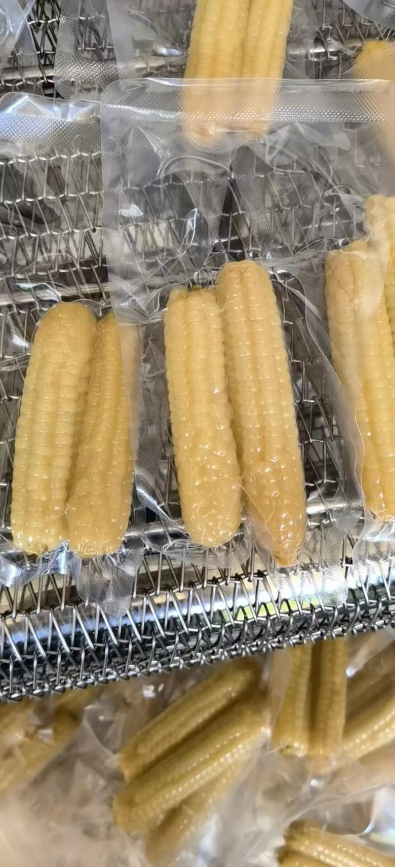 西双版纳精品拇指玉米顺丰快递，空运