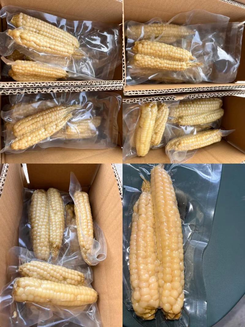 西双版纳精品拇指玉米顺丰快递，空运