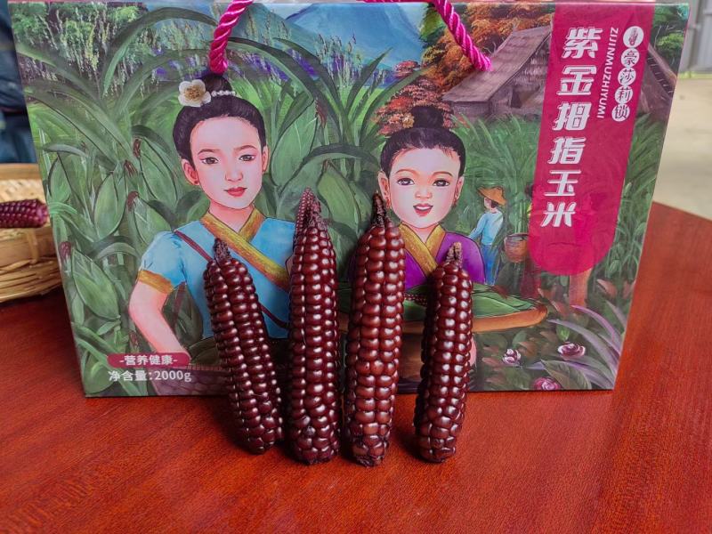 西双版纳拇指紫玉米精品，顺丰，空运