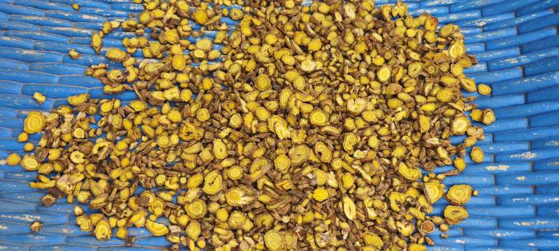 【精品黄芩片】产地直发量大从优一手货源欢迎联系