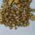 【精品黄芩片】产地直发量大从优一手货源欢迎联系