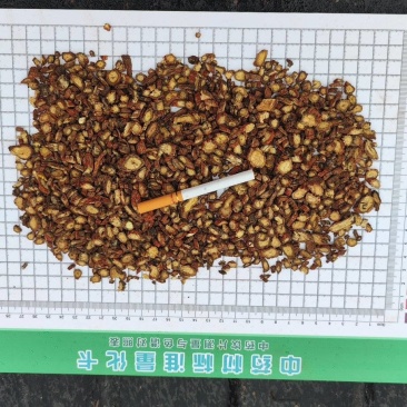 《精品》丹参片产地直发一手货源量大从优欢迎联系合作