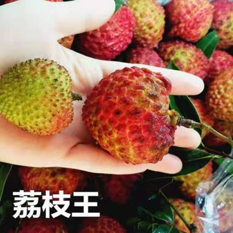 妃子笑