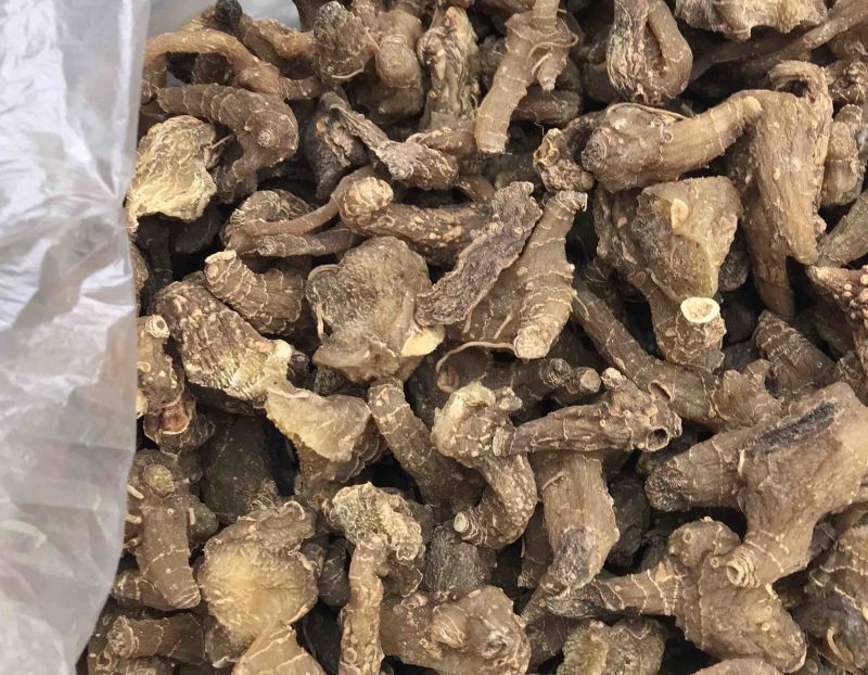 大山深处，野生黄精，自然生长顔色好，干净无杂质，精品货源