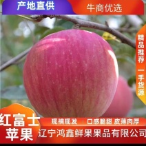 辽南红富士苹果，分条红，片红，口感脆甜