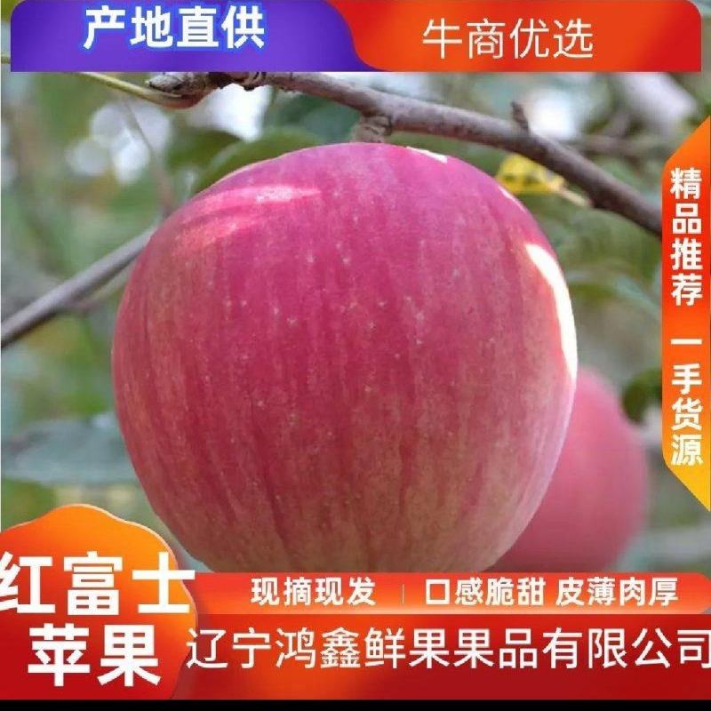 辽南红富士苹果，分条红，片红，口感脆甜