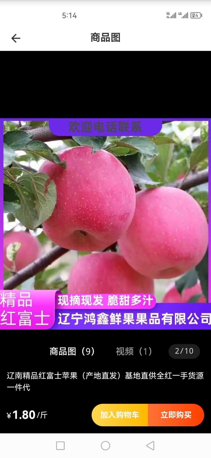 辽南红富士苹果，分条红，片红，口感脆甜