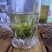 绿茶正宗2023年信阳毛尖茶叶茶农原产地直销保质保量明茶