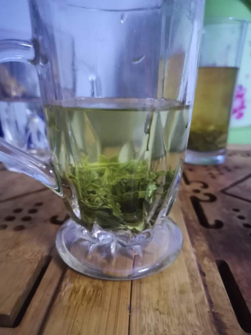 绿茶正宗2023年信阳毛尖茶叶茶农原产地直销保质保量明茶