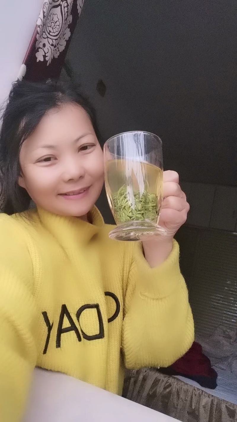 绿茶正宗2023年信阳毛尖茶叶茶农原产地直销保质保量明茶