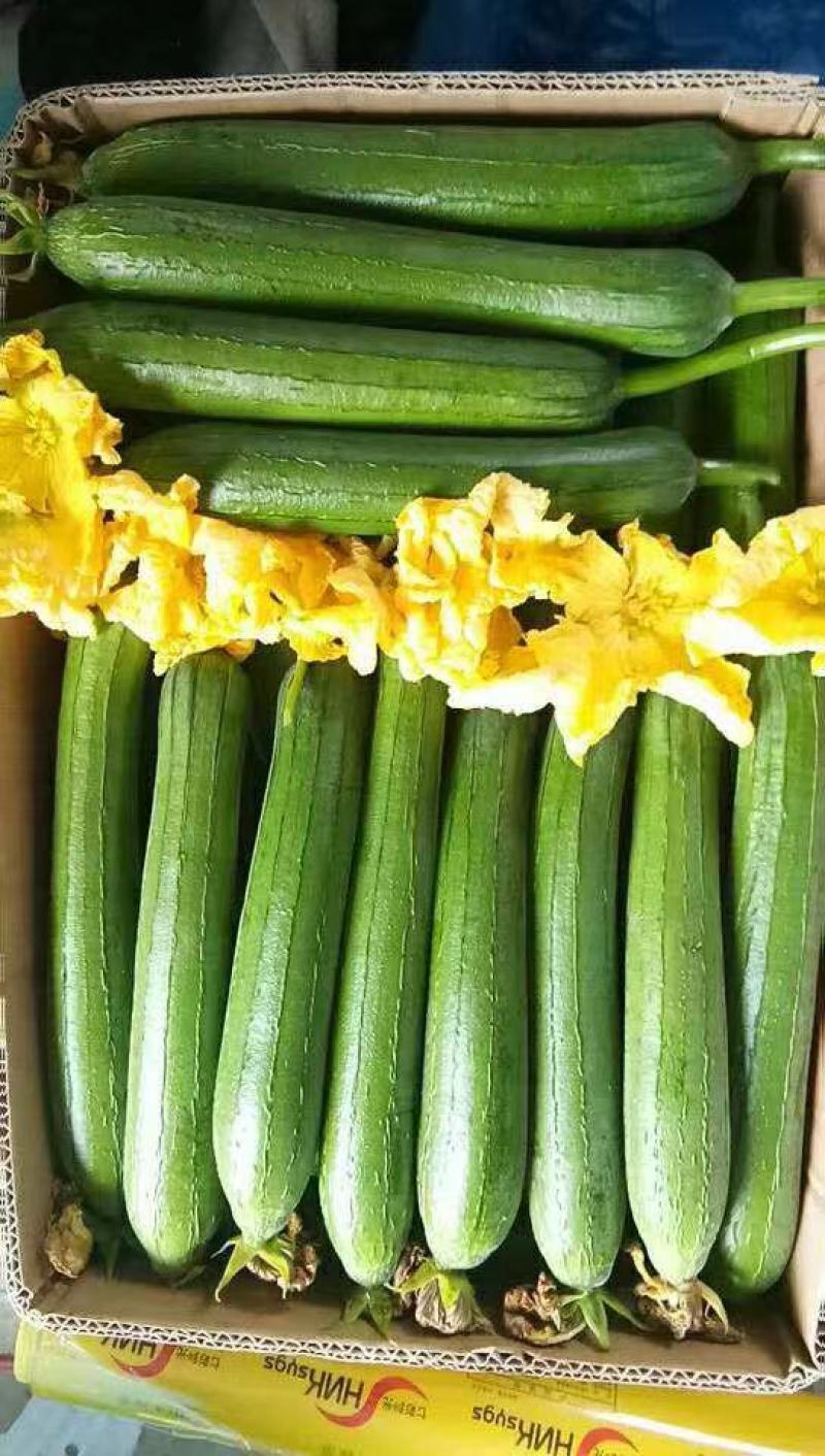 丝瓜黄花芹菜油麦菜