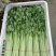丝瓜黄花芹菜油麦菜