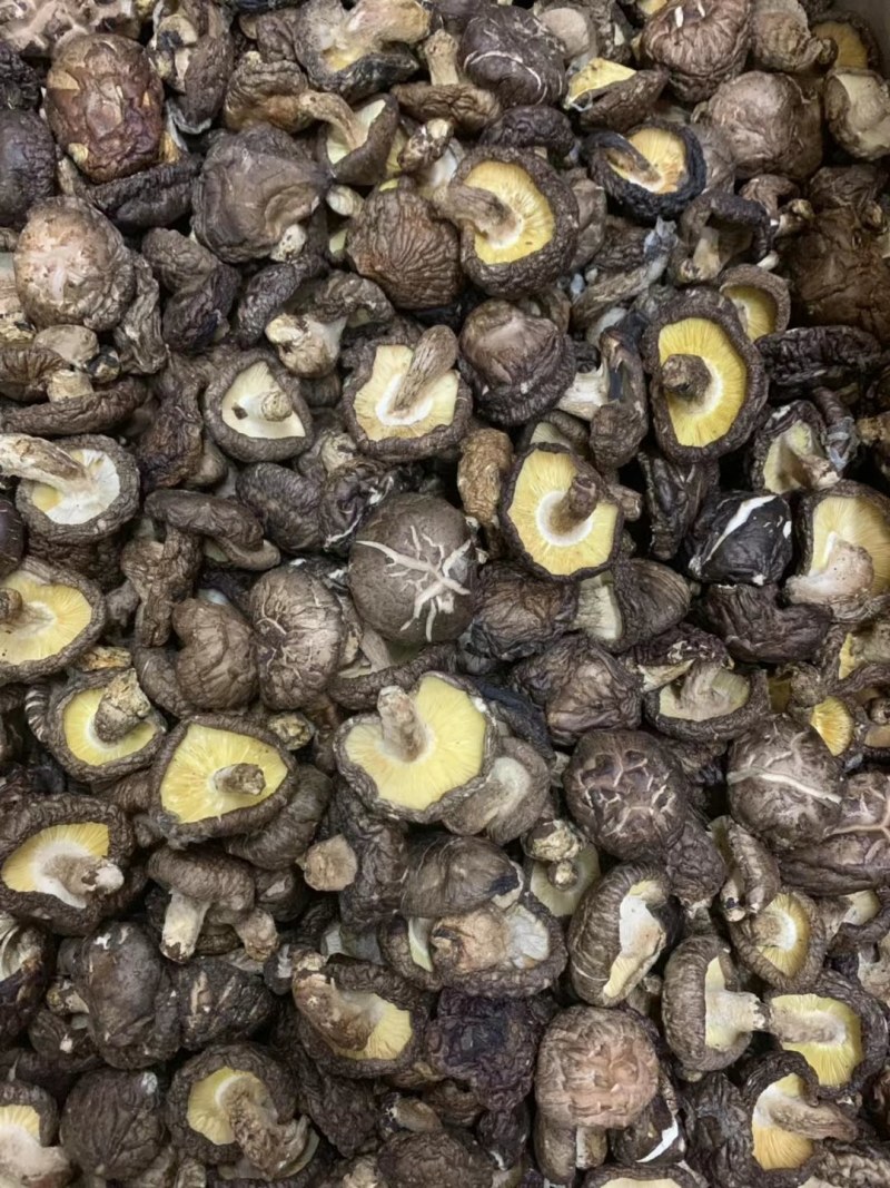 冬菇厚肉香菇干货香味好大量批发