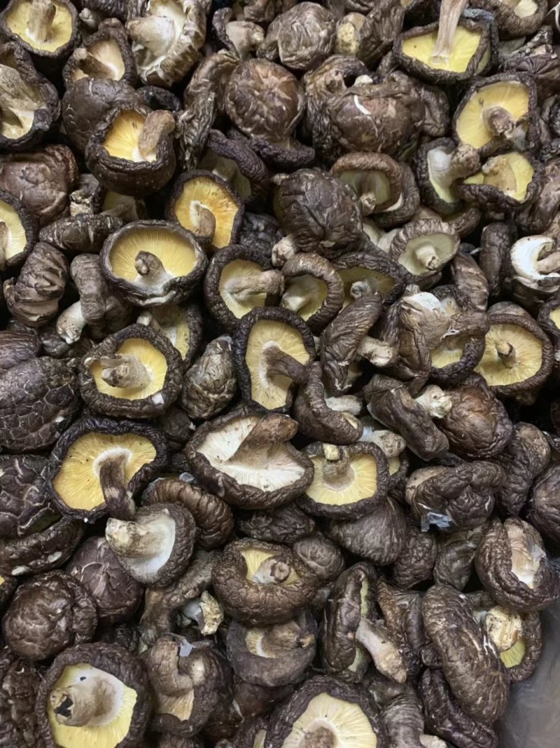 冬菇厚肉香菇干货香味好大量批发