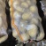 希森v7大丰3.5两起价格微高