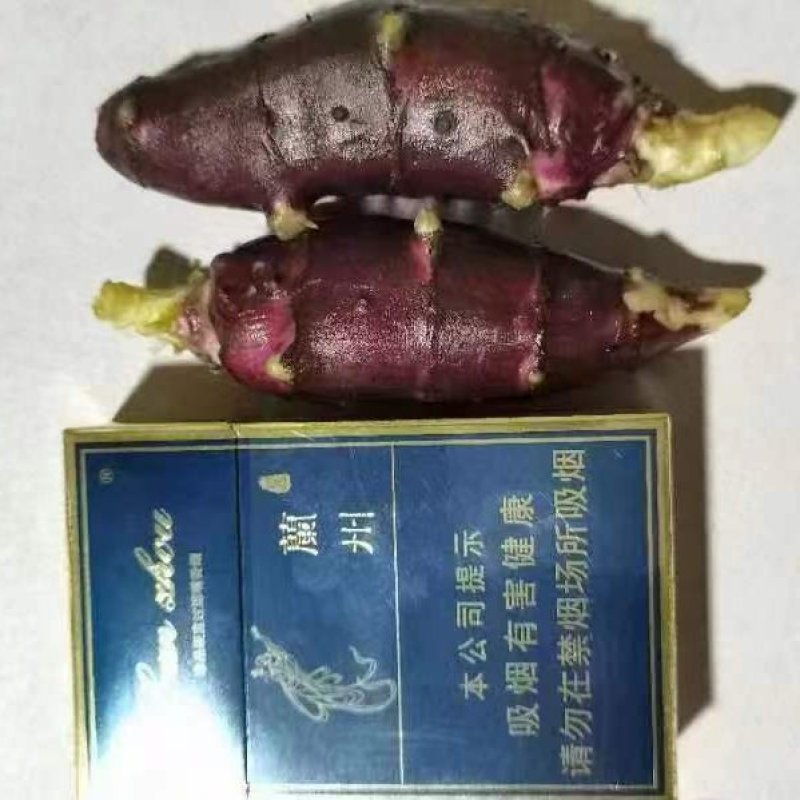 胰岛果大量有货价格便宜