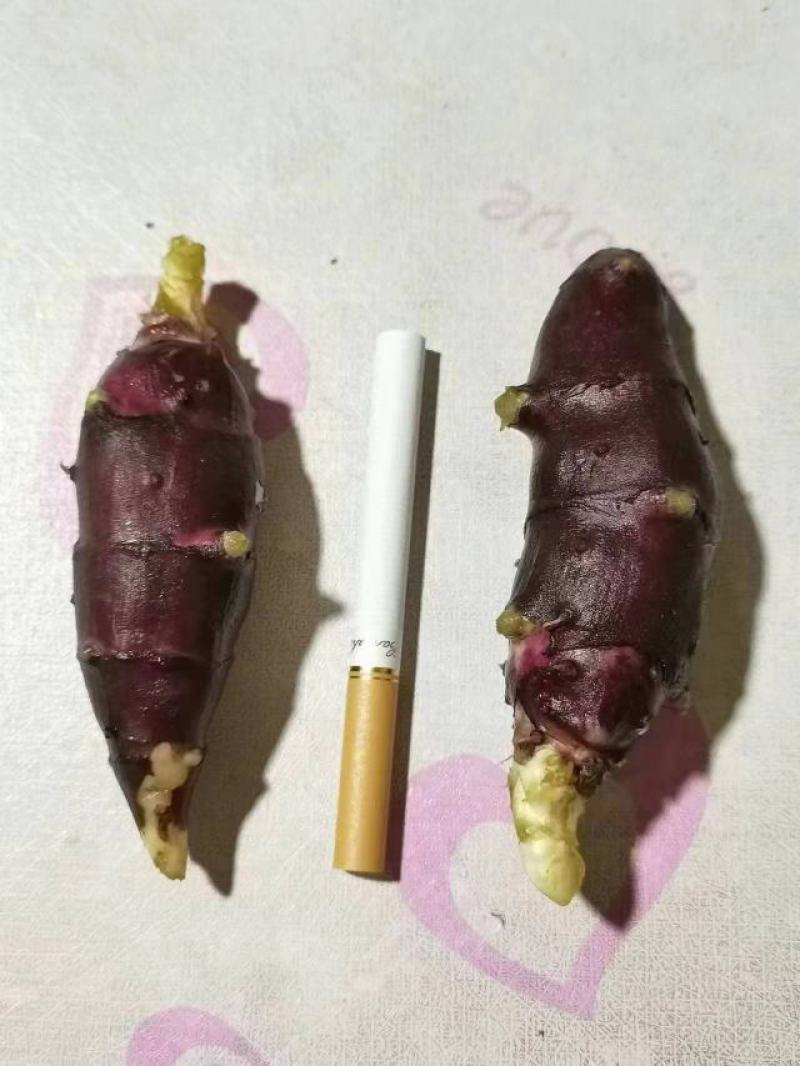 胰岛果大量有货价格便宜