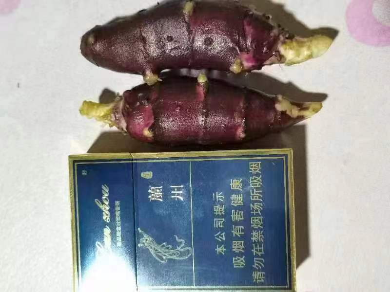 胰岛果大量有货价格便宜