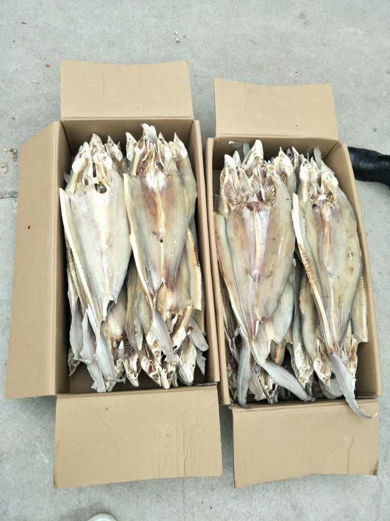 鳗鱼干