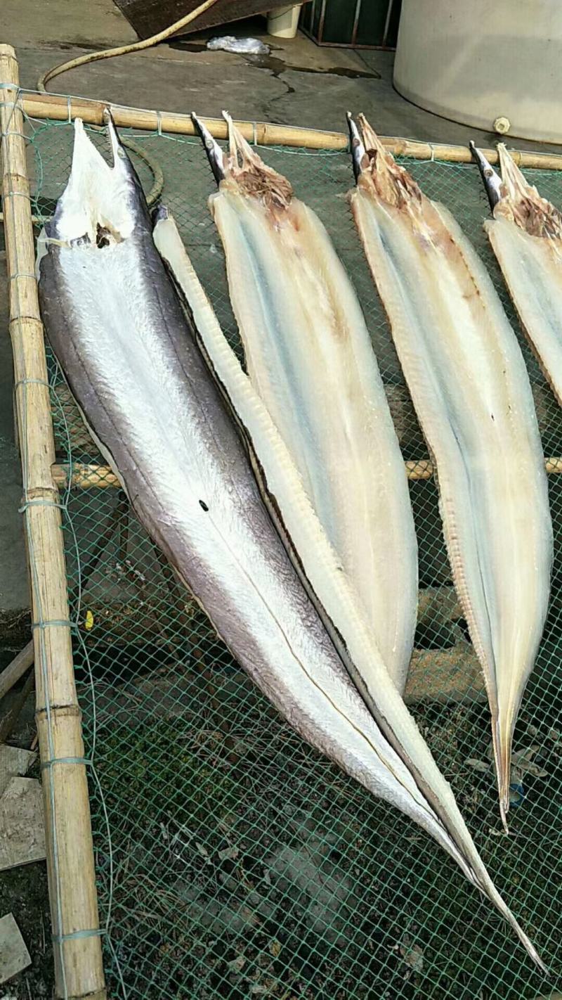 鳗鱼干