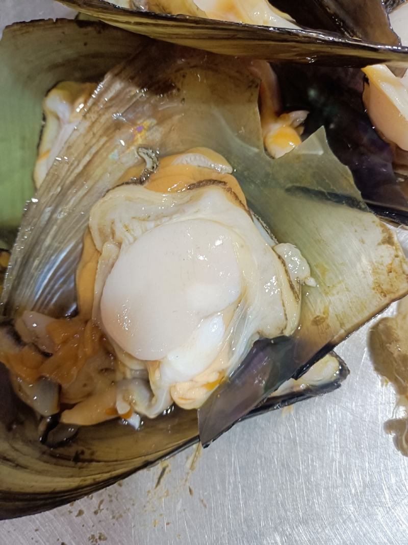 半壳带子，天然海鲜