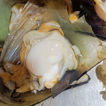 半壳带子，天然海鲜