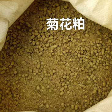 菊花粕