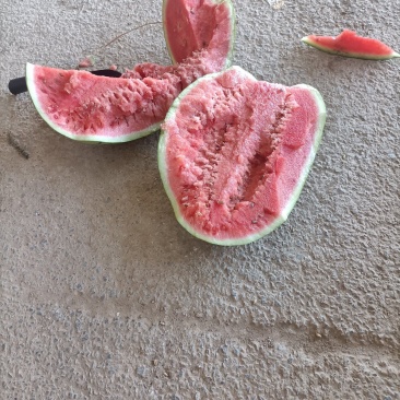 口感很好壤子红皮薄