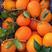 中华红脐橙，优质口感，供应市场以及各大电商，欢迎采购！！