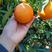 伦晚橙子大量供应，口感纯甜，供应市场以及各大电商欢迎来电
