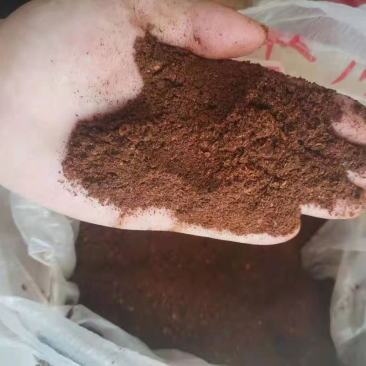 粉碎辣椒油渣