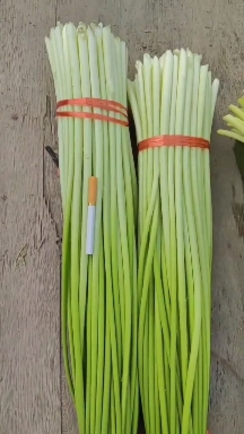 精品蒜苔红帽，白帽蒜苔，干苔一手货源