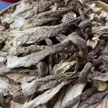 广东河源鹿茸菇，无脚菇干货10斤一件大量批发
