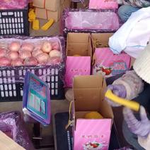 山西省运城市万荣县羊奶苹果产地直销货源充足可