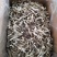 广东河源鹿茸菇，无脚菇干货10斤一件大量批发