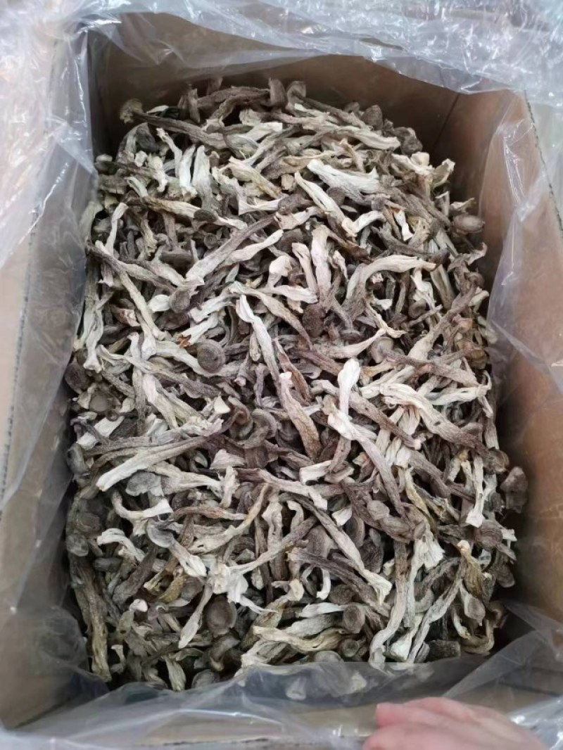 广东河源鹿茸菇，无脚菇干货10斤一件大量批发
