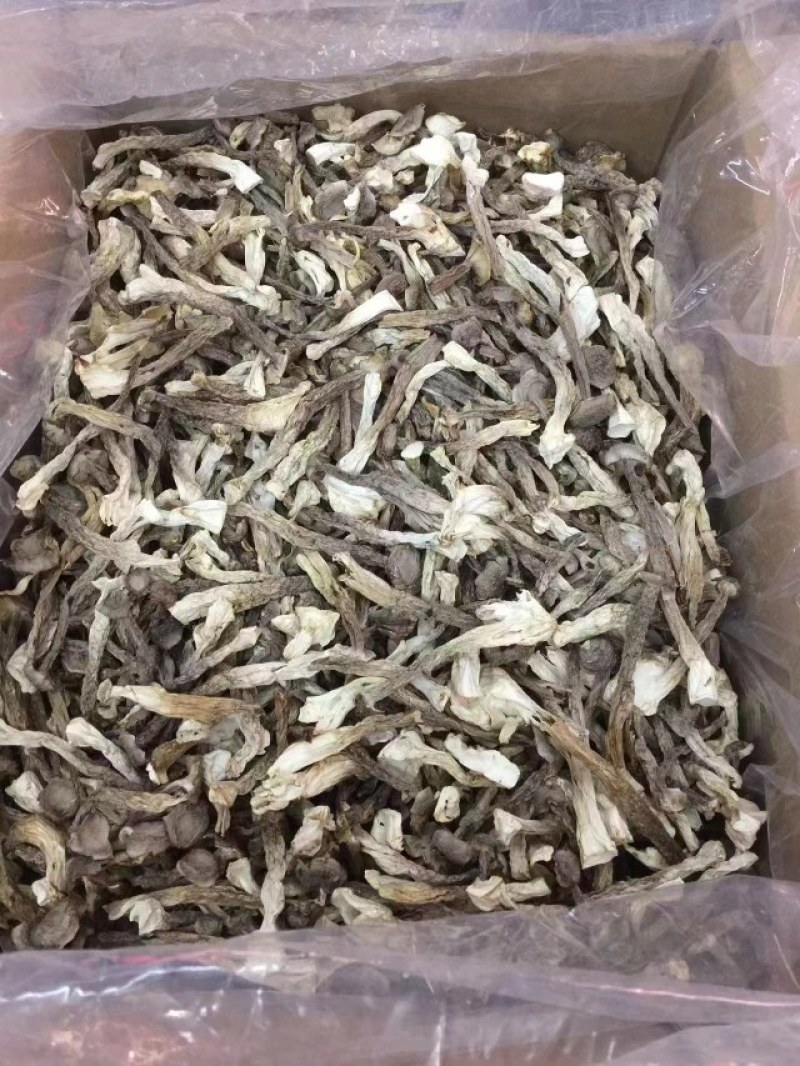 广东河源鹿茸菇，无脚菇干货10斤一件大量批发
