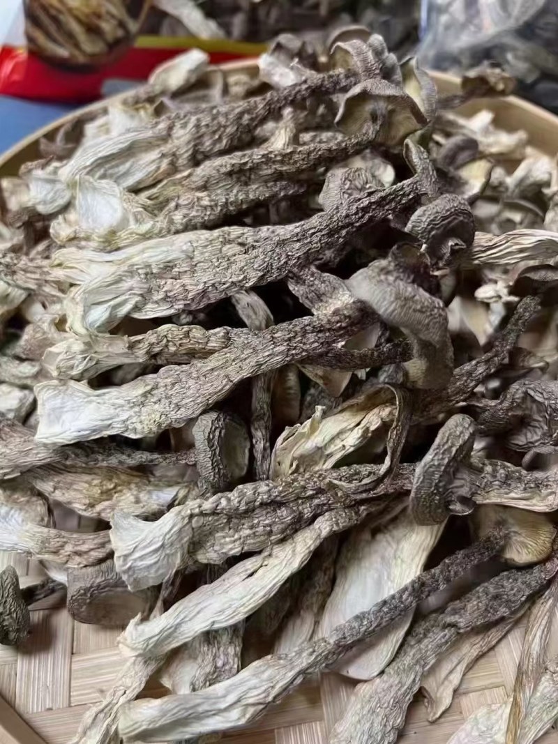 广东河源鹿茸菇，无脚菇干货10斤一件大量批发